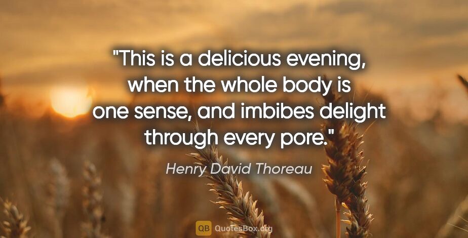 Henry David Thoreau quote: "This is a delicious evening, when the whole body is one sense,..."