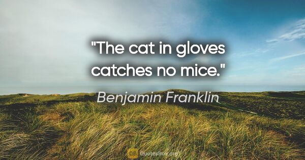 Benjamin Franklin quote: "The cat in gloves catches no mice."