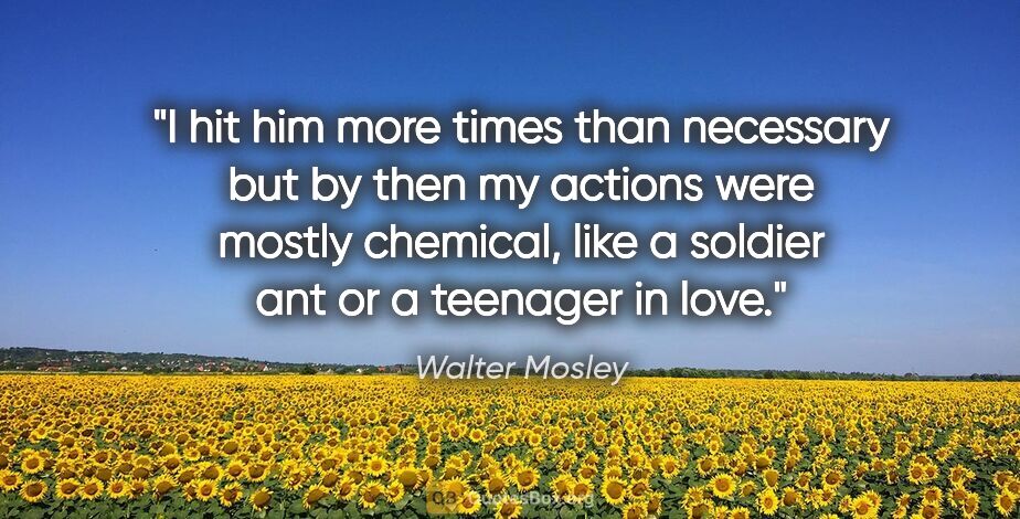 Walter Mosley quote: "I hit him more times than necessary but by then my actions..."