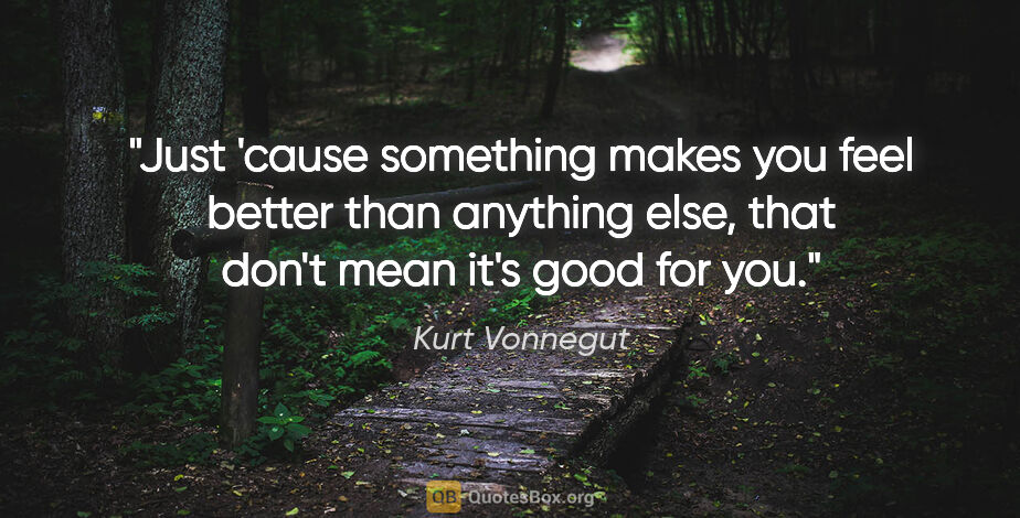 Kurt Vonnegut quote: "Just 'cause something makes you feel better than anything..."