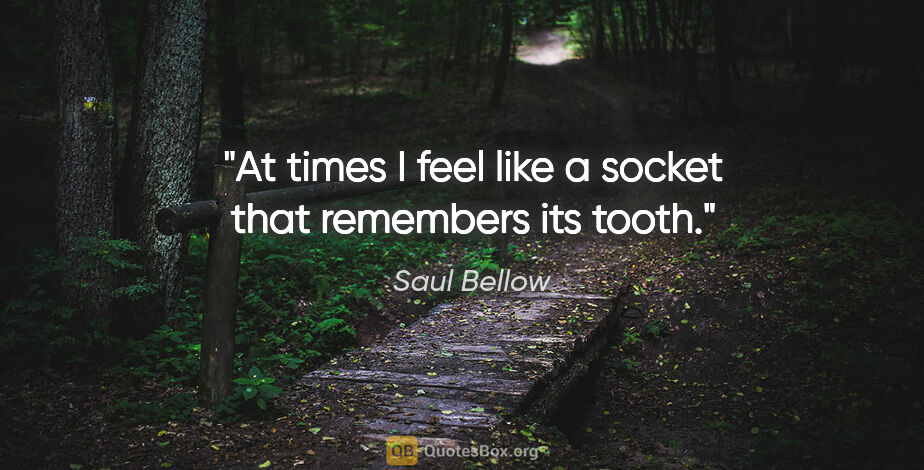 Saul Bellow quote: "At times I feel like a socket that remembers its tooth."
