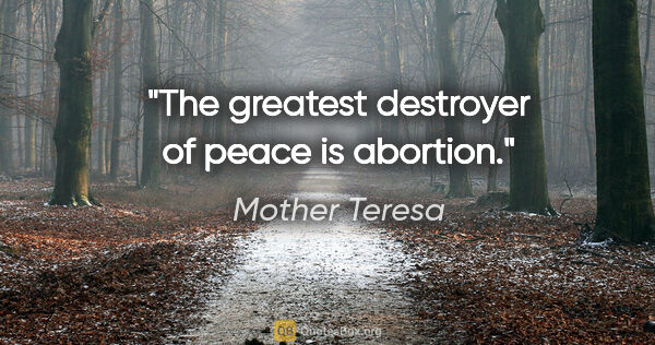 Mother Teresa quote: "The greatest destroyer of peace is abortion."