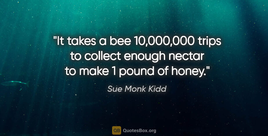 Sue Monk Kidd quote: "It takes a bee 10,000,000 trips to collect enough nectar to..."
