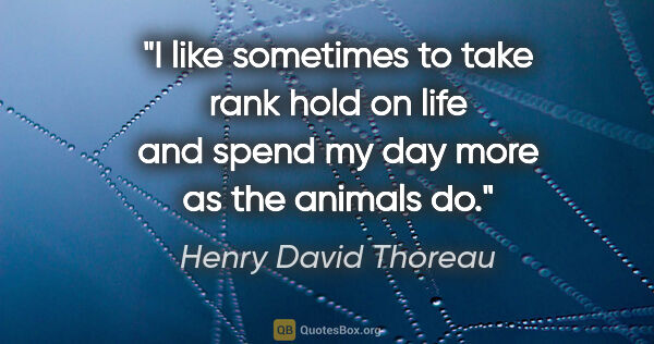 Henry David Thoreau quote: "I like sometimes to take rank hold on life and spend my day..."