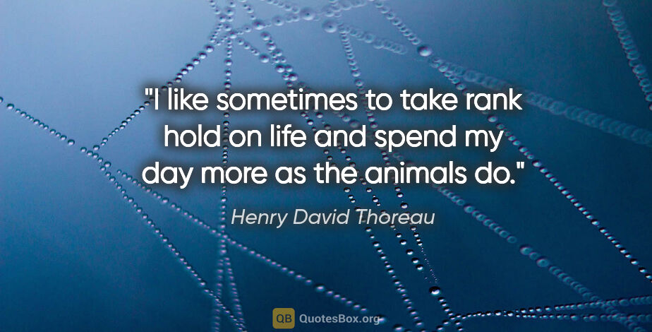 Henry David Thoreau quote: "I like sometimes to take rank hold on life and spend my day..."