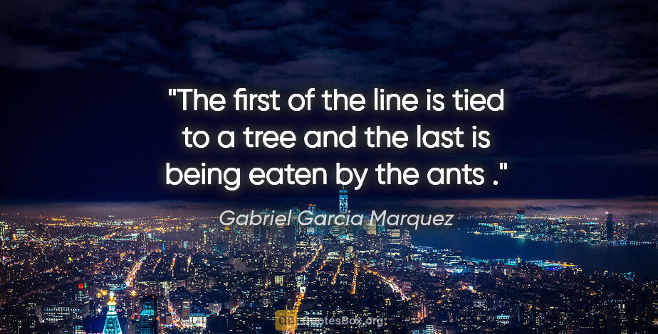 Gabriel Garcia Marquez quote: "The first of the line is tied to a tree and the last is being..."