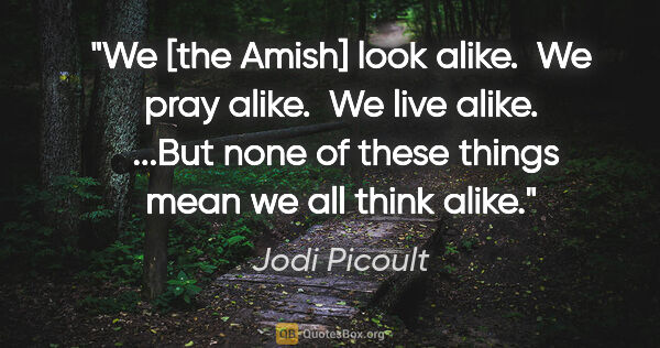 Jodi Picoult quote: "We [the Amish] look alike.  We pray alike.  We live alike. ..."