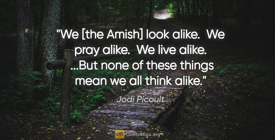 Jodi Picoult quote: "We [the Amish] look alike.  We pray alike.  We live alike. ..."