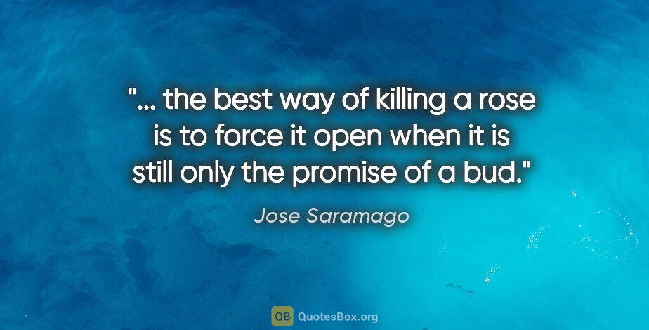 Jose Saramago quote: " the best way of killing a rose is to force it open when it is..."