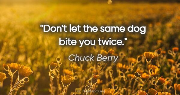 Chuck Berry quote: "Don't let the same dog bite you twice."