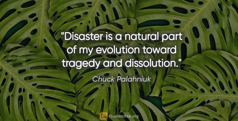 Chuck Palahniuk quote: "Disaster is a natural part of my evolution toward tragedy and..."