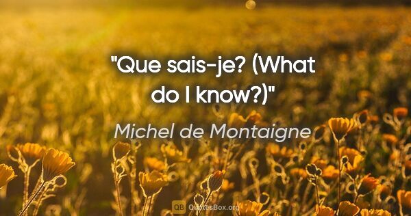 Michel de Montaigne quote: "Que sais-je?" (What do I know?)"