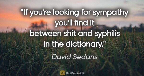 David Sedaris quote: "If you're looking for sympathy you'll find it between shit and..."