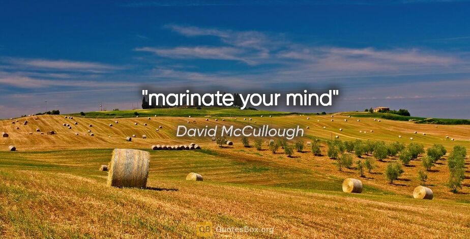 David McCullough quote: "marinate your mind"