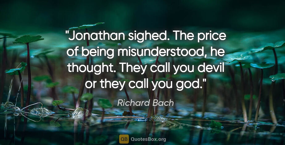 Richard Bach quote: "Jonathan sighed. The price of being misunderstood, he thought...."