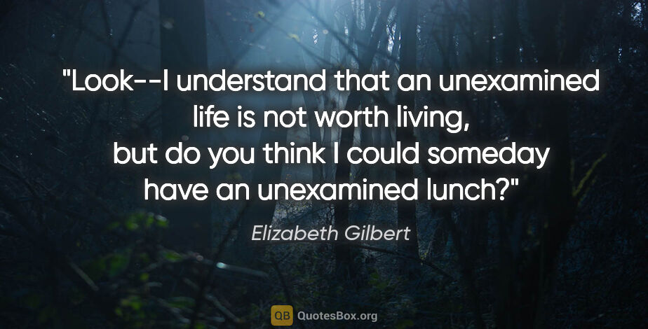 Elizabeth Gilbert quote: "Look--I understand that an unexamined life is not worth..."