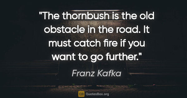 Franz Kafka quote: "The thornbush is the old obstacle in the road. It must catch..."