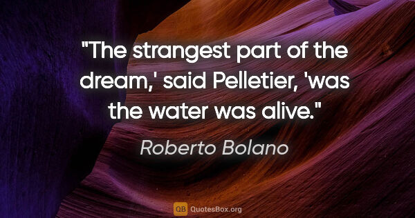 Roberto Bolano quote: "The strangest part of the dream,' said Pelletier, 'was the..."