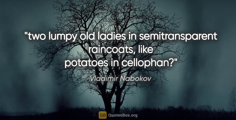 Vladimir Nabokov quote: "two lumpy old ladies in semitransparent raincoats, like..."