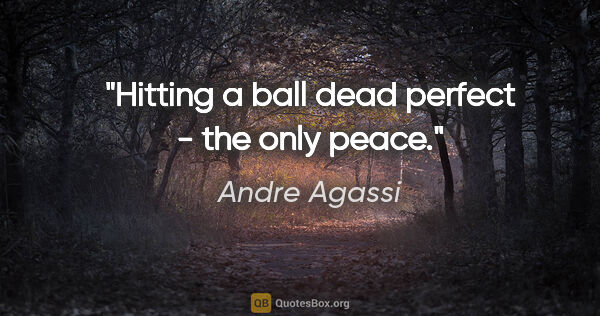 Andre Agassi quote: "Hitting a ball dead perfect - the only peace."