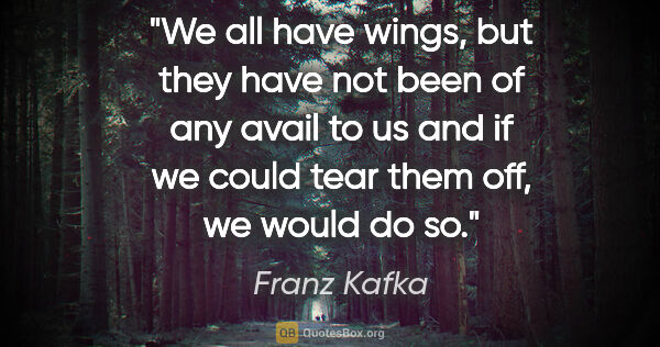Franz Kafka quote: "We all have wings, but they have not been of any avail to us..."