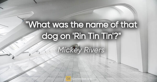 Mickey Rivers quote: "What was the name of that dog on 'Rin Tin Tin'?"