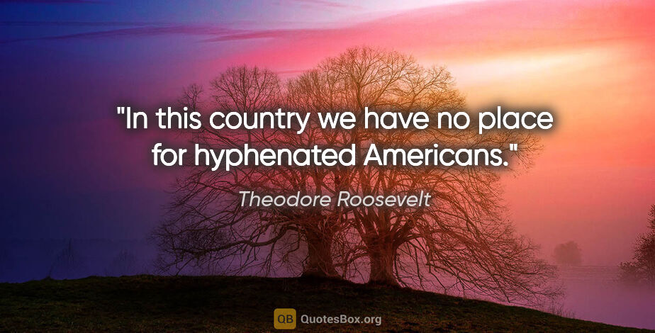 Theodore Roosevelt quote: "In this country we have no place for hyphenated Americans."