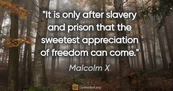 Malcolm X quote: "It is only after slavery and prison that the sweetest..."