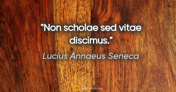 Lucius Annaeus Seneca quote: "Non scholae sed vitae discimus."