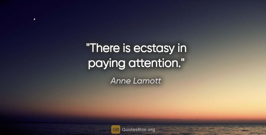 Anne Lamott quote: "There is ecstasy in paying attention."