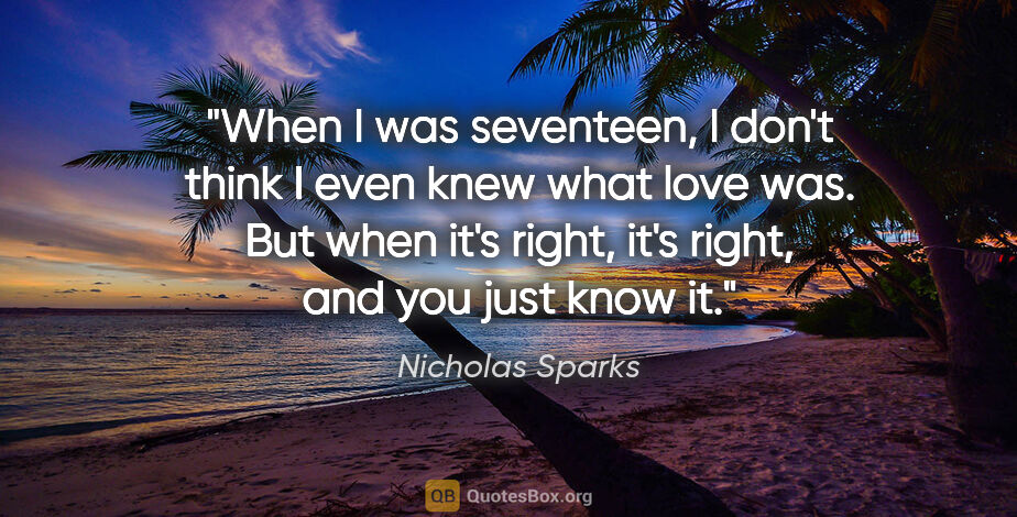 Nicholas Sparks quote: "When I was seventeen, I don't think I even knew what love was...."