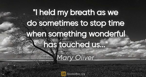 Mary Oliver quote: "I held my breath as we do sometimes to stop time when..."