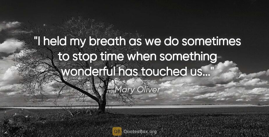 Mary Oliver quote: "I held my breath as we do sometimes to stop time when..."