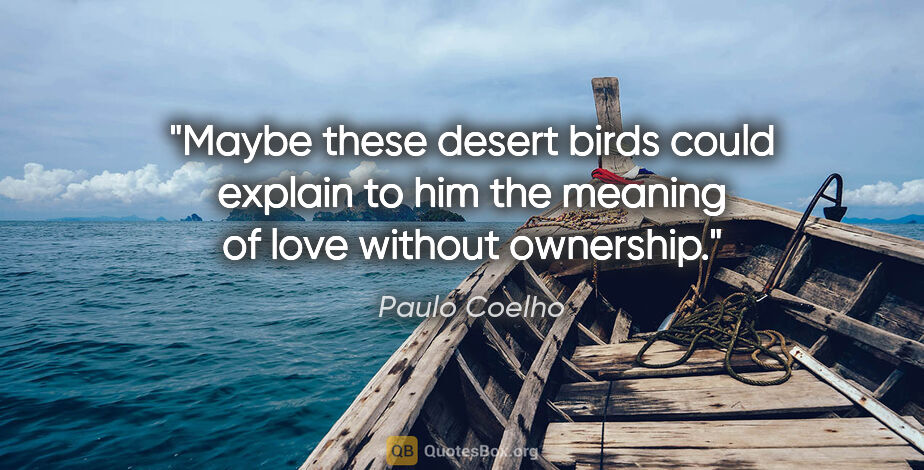 Paulo Coelho quote: "Maybe these desert birds could explain to him the meaning of..."