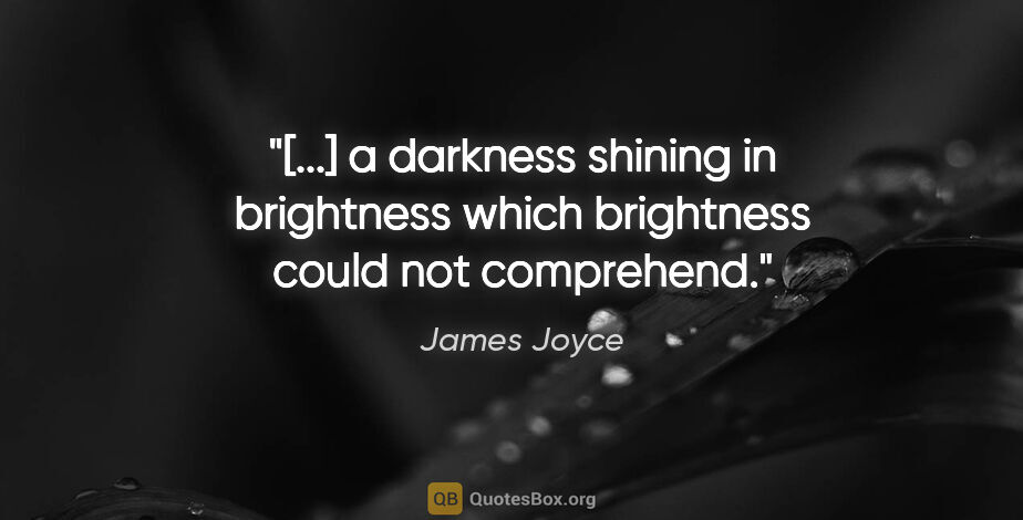 James Joyce quote: "[...] a darkness shining in brightness which brightness could..."