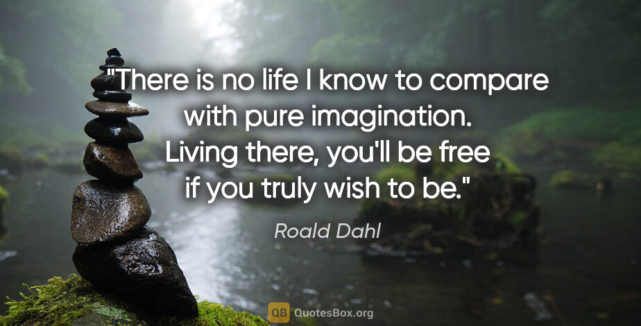 Roald Dahl quote: "There is no life I know to compare with pure imagination...."