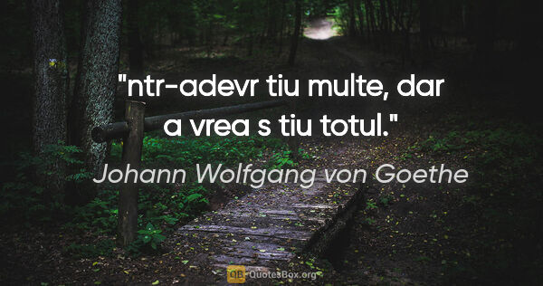 Johann Wolfgang von Goethe quote: "ntr-adevr tiu multe, dar a vrea s tiu totul."