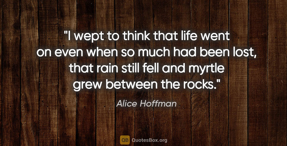 Alice Hoffman quote: "I wept to think that life went on even when so much had been..."