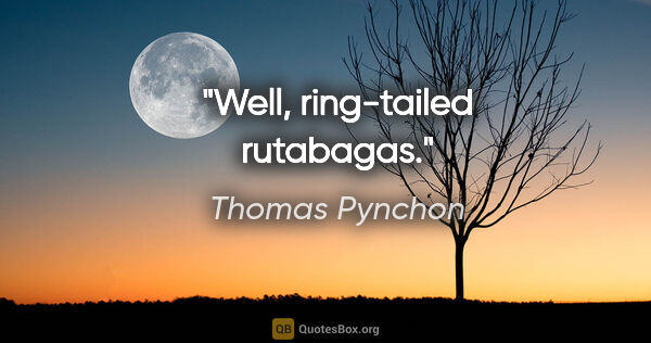 Thomas Pynchon quote: "Well, ring-tailed rutabagas."