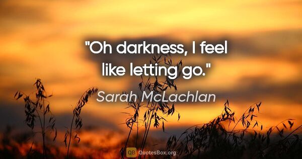 Sarah McLachlan quote: "Oh darkness, I feel like letting go."