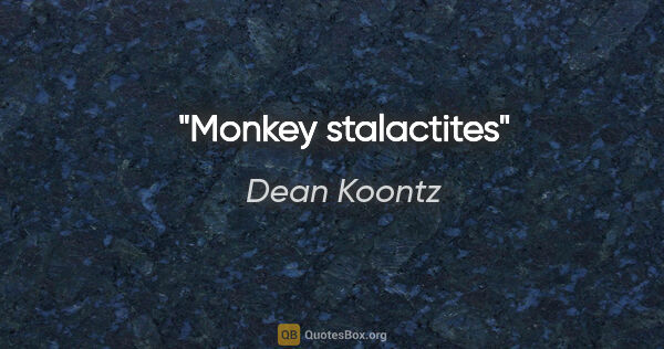 Dean Koontz quote: "Monkey stalactites"