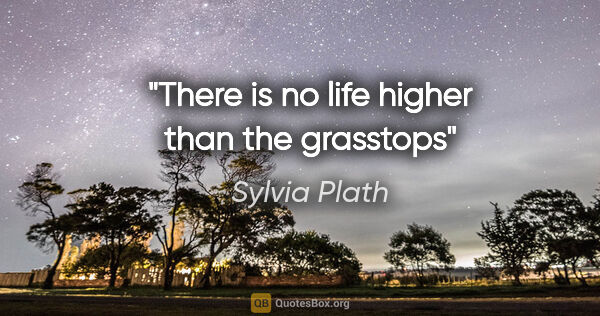 Sylvia Plath quote: "There is no life higher than the grasstops"
