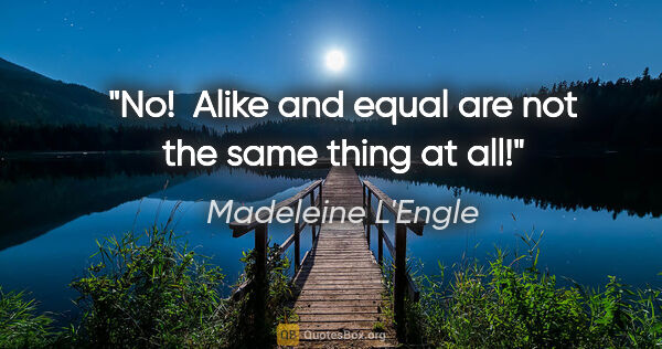 Madeleine L'Engle quote: "No!  Alike and equal are not the same thing at all!"