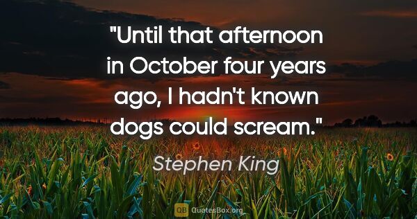Stephen King quote: "Until that afternoon in October four years ago, I hadn't known..."