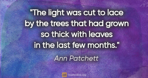 Ann Patchett quote: "The light was cut to lace by the trees that had grown so thick..."