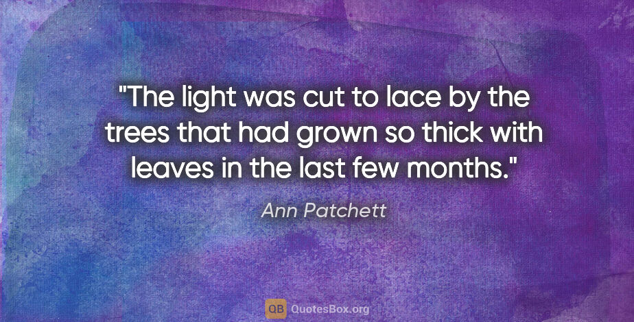 Ann Patchett quote: "The light was cut to lace by the trees that had grown so thick..."