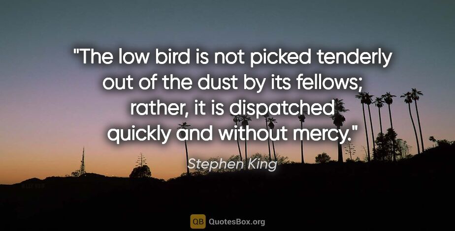 Stephen King quote: "The low bird is not picked tenderly out of the dust by its..."
