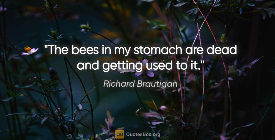 Richard Brautigan quote: "The bees in my stomach are dead and getting used to it."
