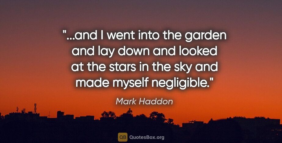 Mark Haddon quote: "and I went into the garden and lay down and looked at the..."