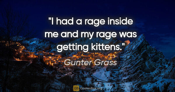 Gunter Grass quote: "I had a rage inside me and my rage was getting kittens."